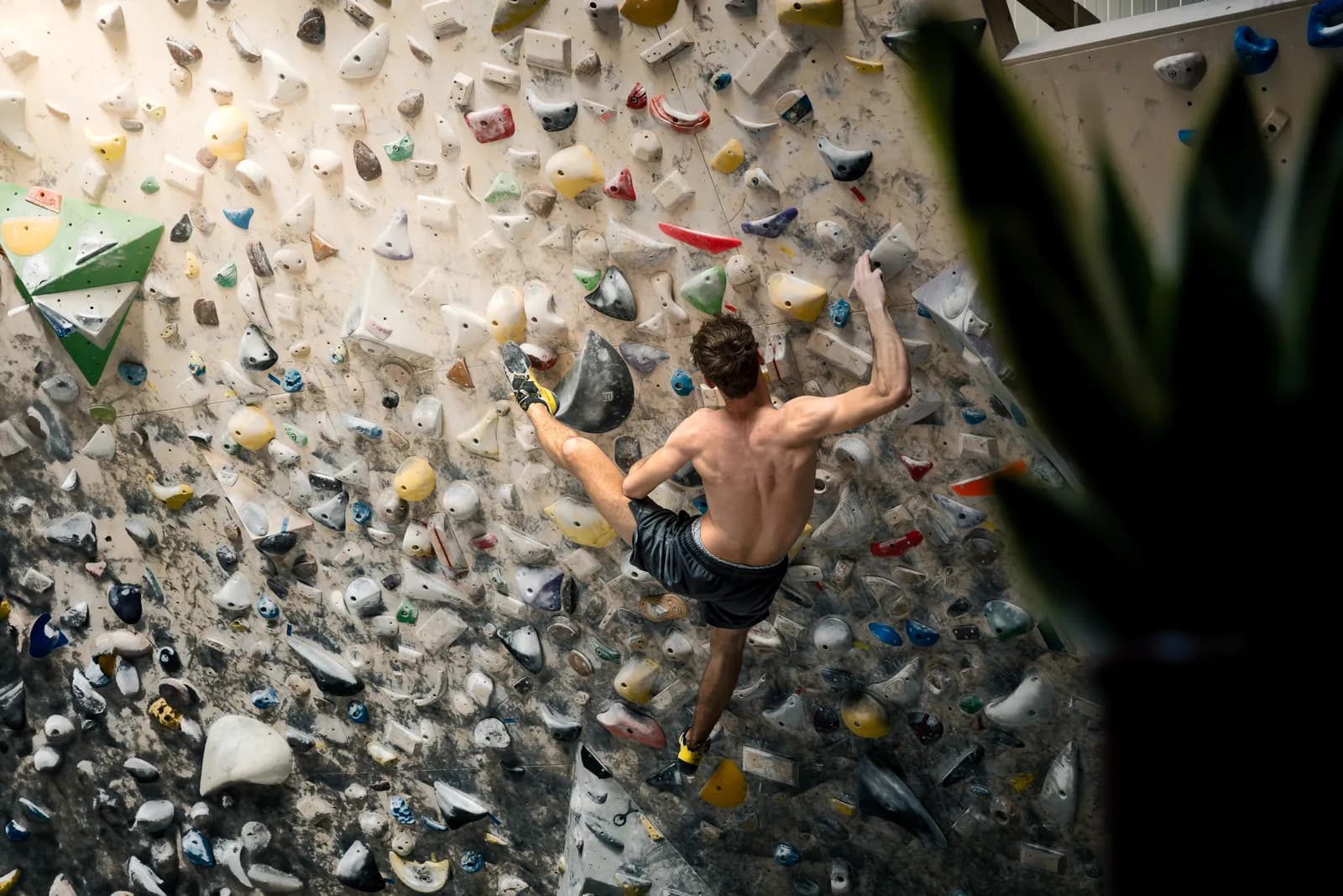 Kletterer ohne Shirt an einer Boulderwand voller bunter Griffe, von hinten gesehen.